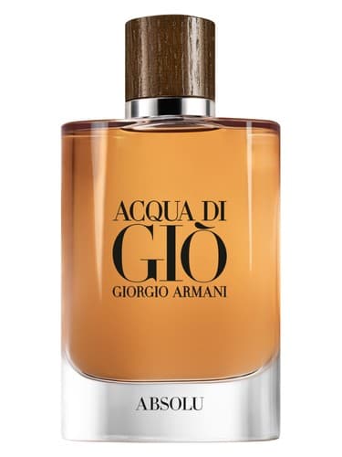 Giorgio Armani Acqua di Gio Absolu