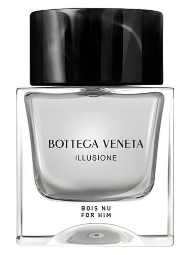 Bottega Veneta Illusione Bois Nu